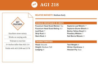 AGI 218 Wheat Seed - Medium Early Relative Maturity