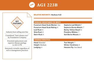 AGI 223B Wheat Seed - Medium Full Relative Maturity