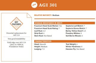AGI 301 Wheat Seed - Medium Relative Maturity