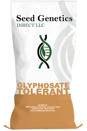 109 Day Glyphosate - Tolerant Hybrid Seed Corn DIRECT 1109GT