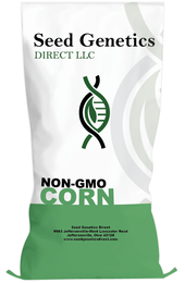 97 Day Conventional Non-GMO Hybrid Seed Corn  DIRECT 8097