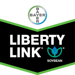 DIRECT 8338LL 3.8 Maturity LibertyLink® Herbicide-tolerant Soybeans