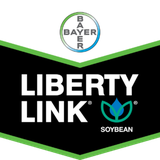 DIRECT 8332LL 3.2 Maturity LibertyLink® Herbicide-tolerant Soybeans 